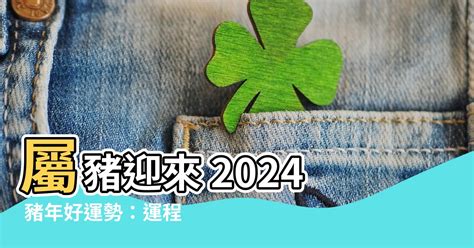 屬豬2024|【2024豬年】生肖豬2024好運滾滾來！屬豬運勢、幸。